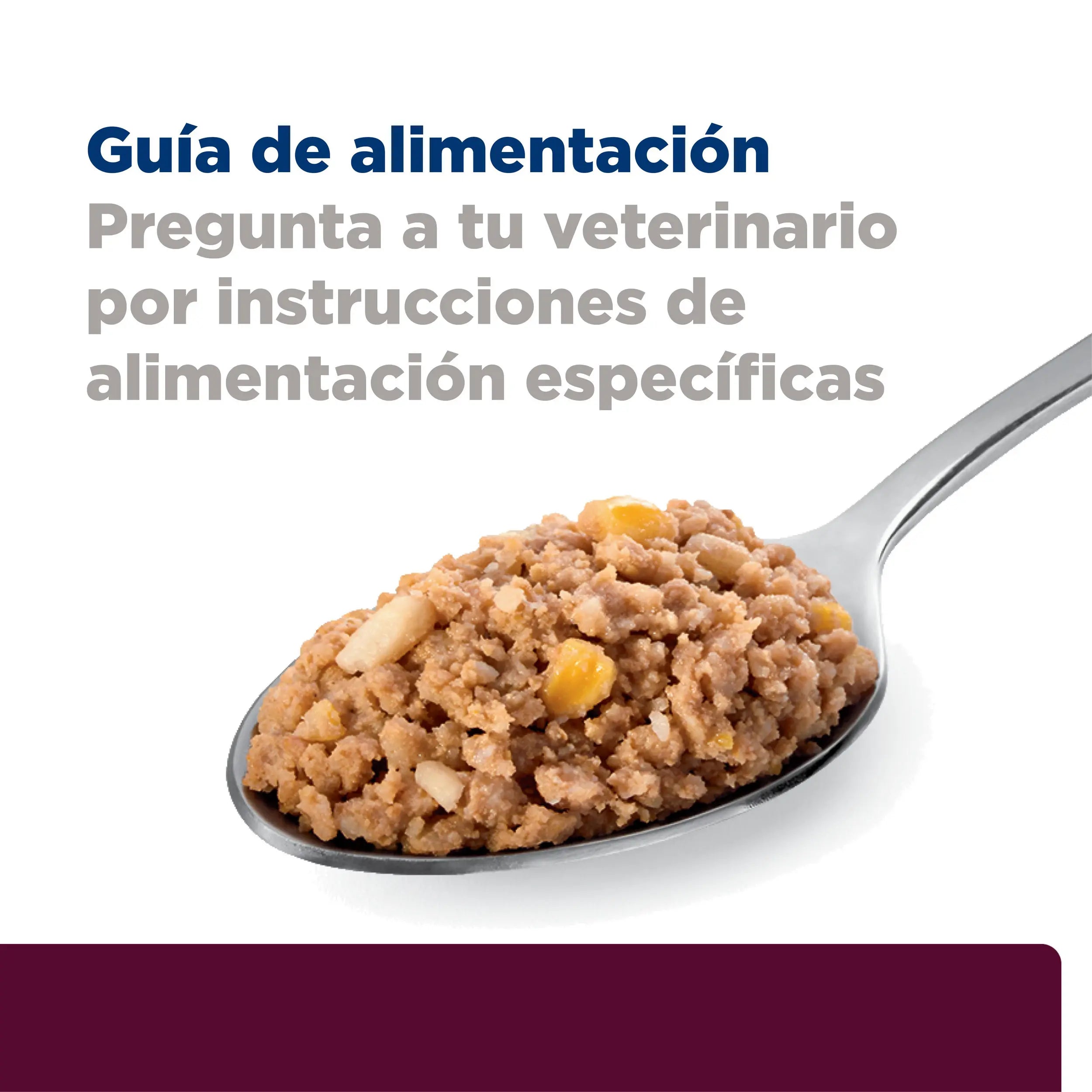 Alimento Húmedo para Perro Hills PD Low Fat 370 g