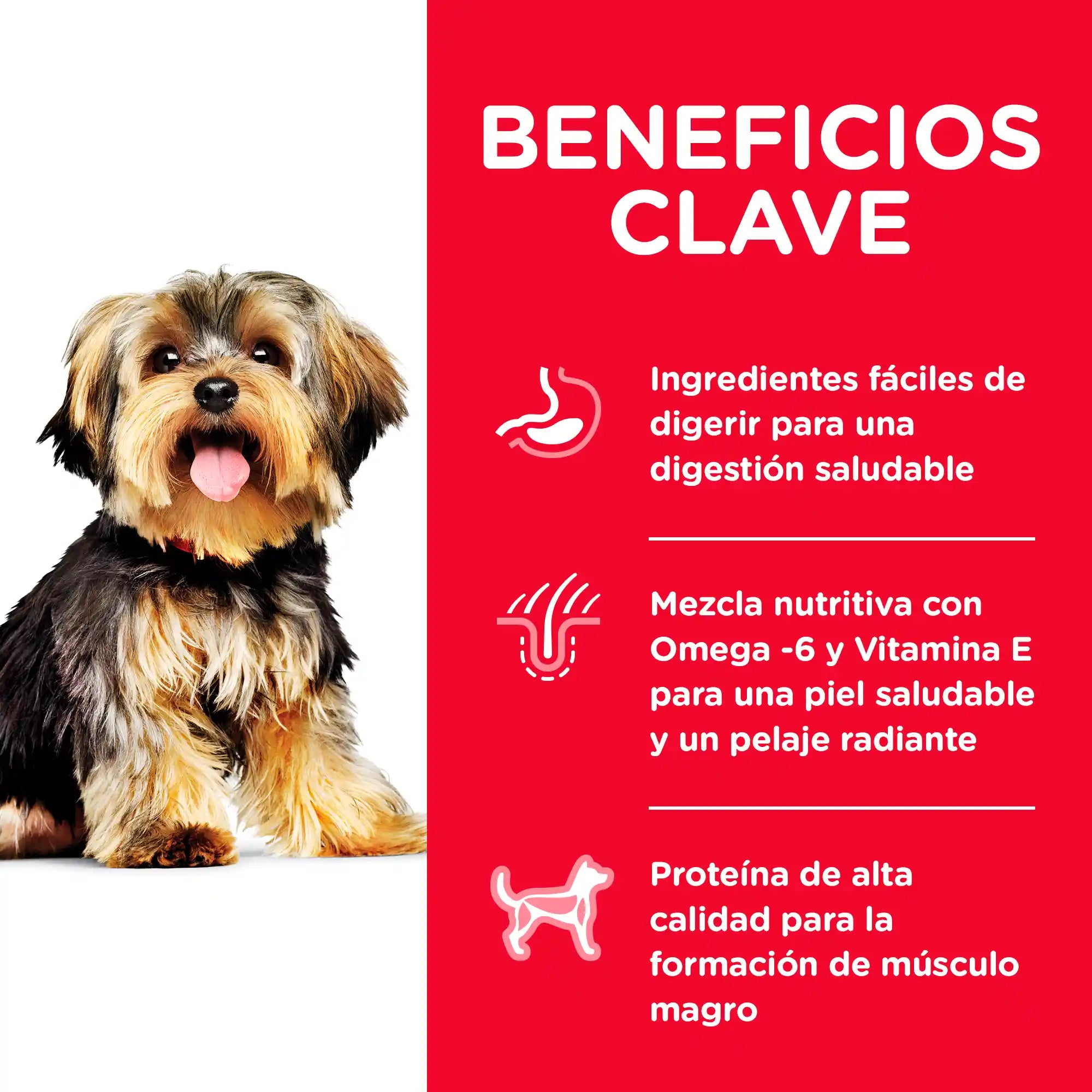 Alimento para Perro Adulto Hills 2 kg - Small Paws