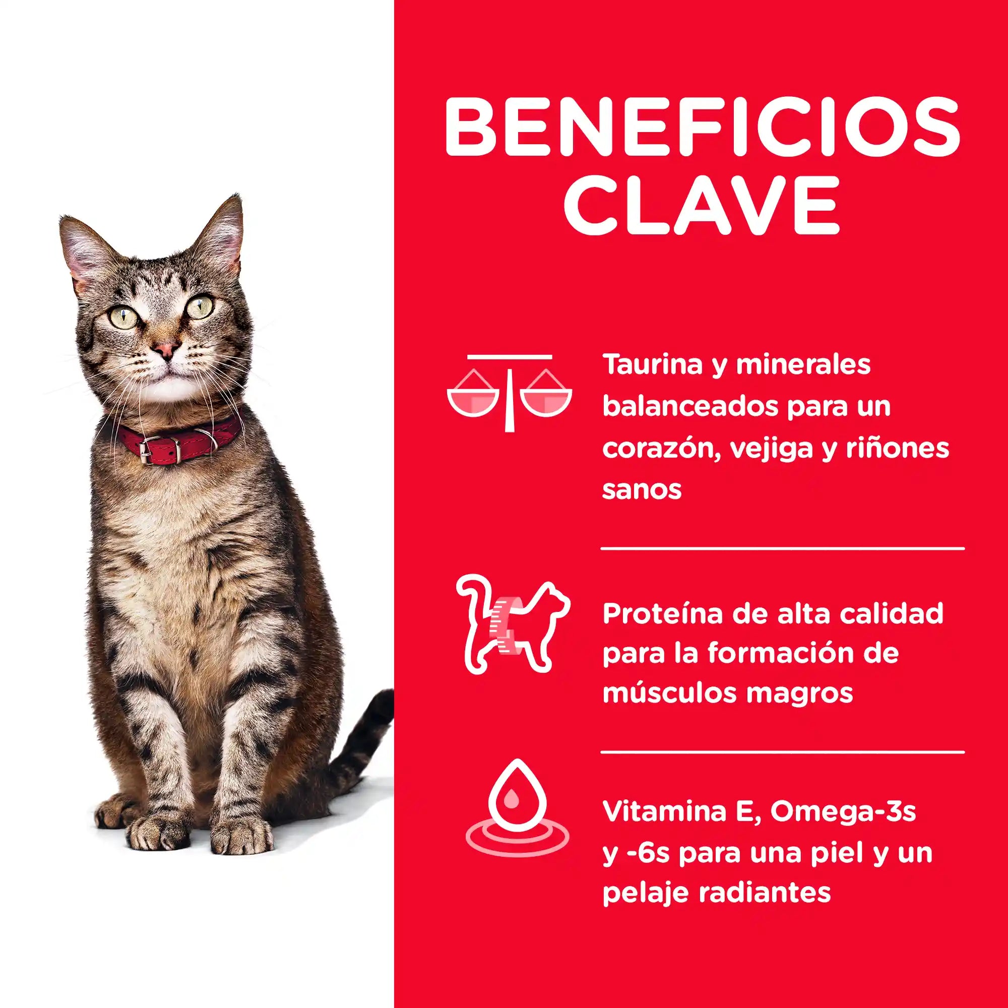 Alimento para Gato Adulto Hills 3.18 kg - Optimal Care