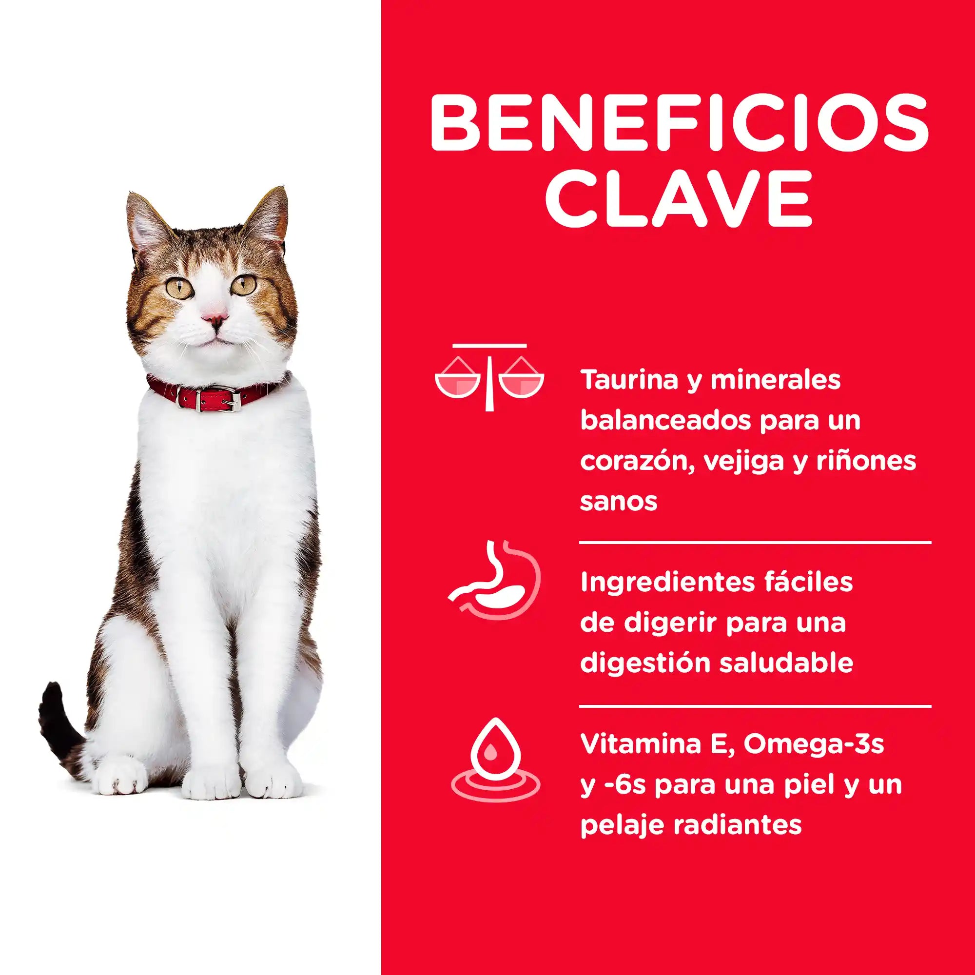 Alimento para Gato Senior Hills 1.81 kg - Adulto 7+