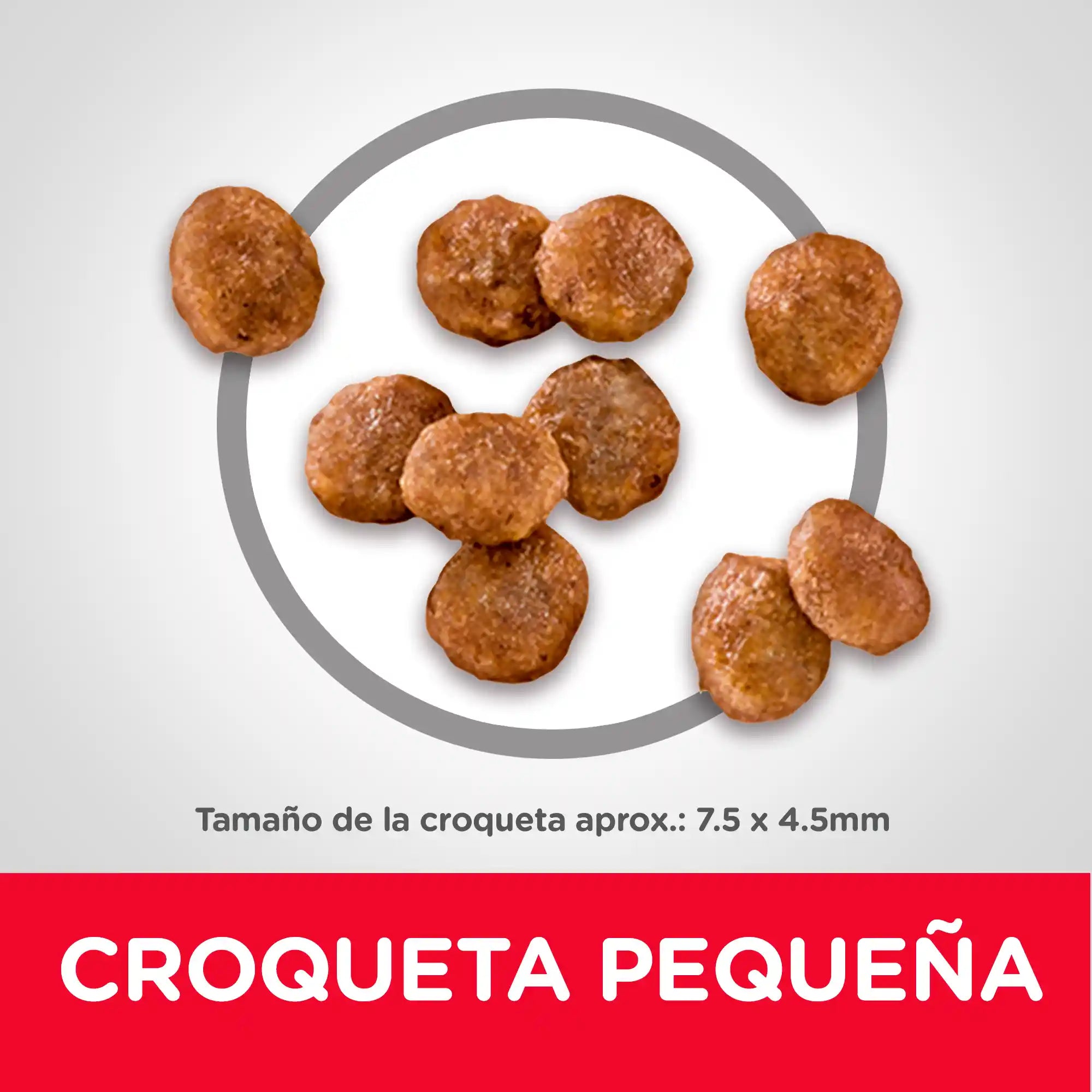Alimento para Perro Adulto Hills 2 kg - Small Paws