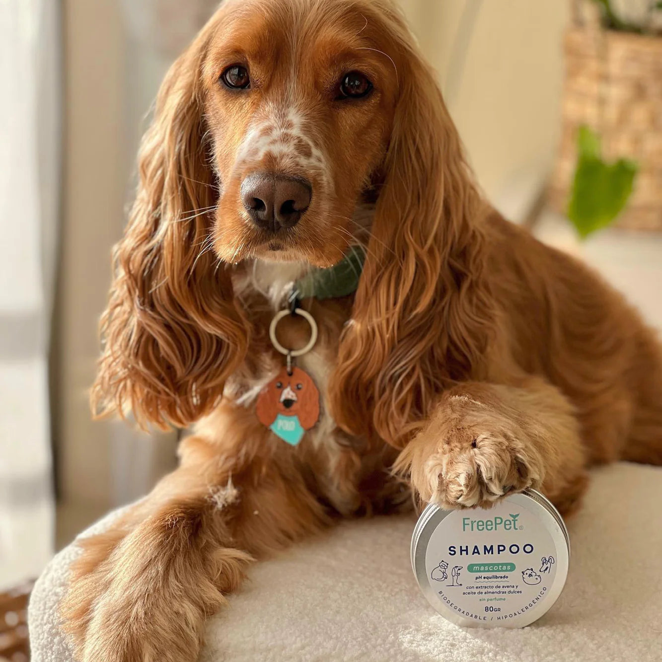 Shampoo en Barra para Mascotas